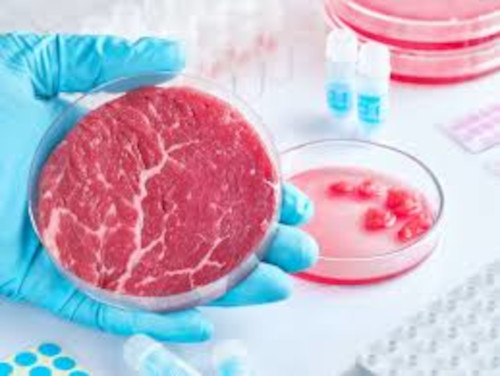 Aston Uni Cultivated Meat