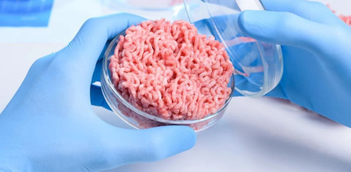 Aston Uni Cultivated Meat
