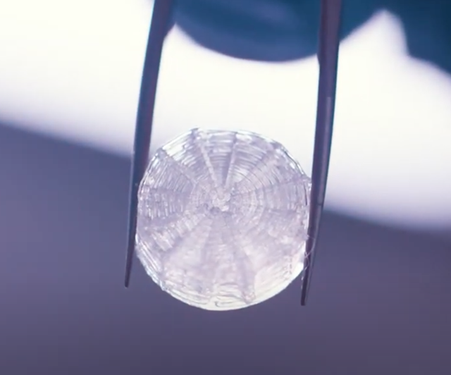 3D PETG Scaffold