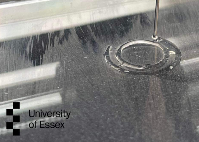 Essex University Circles Print